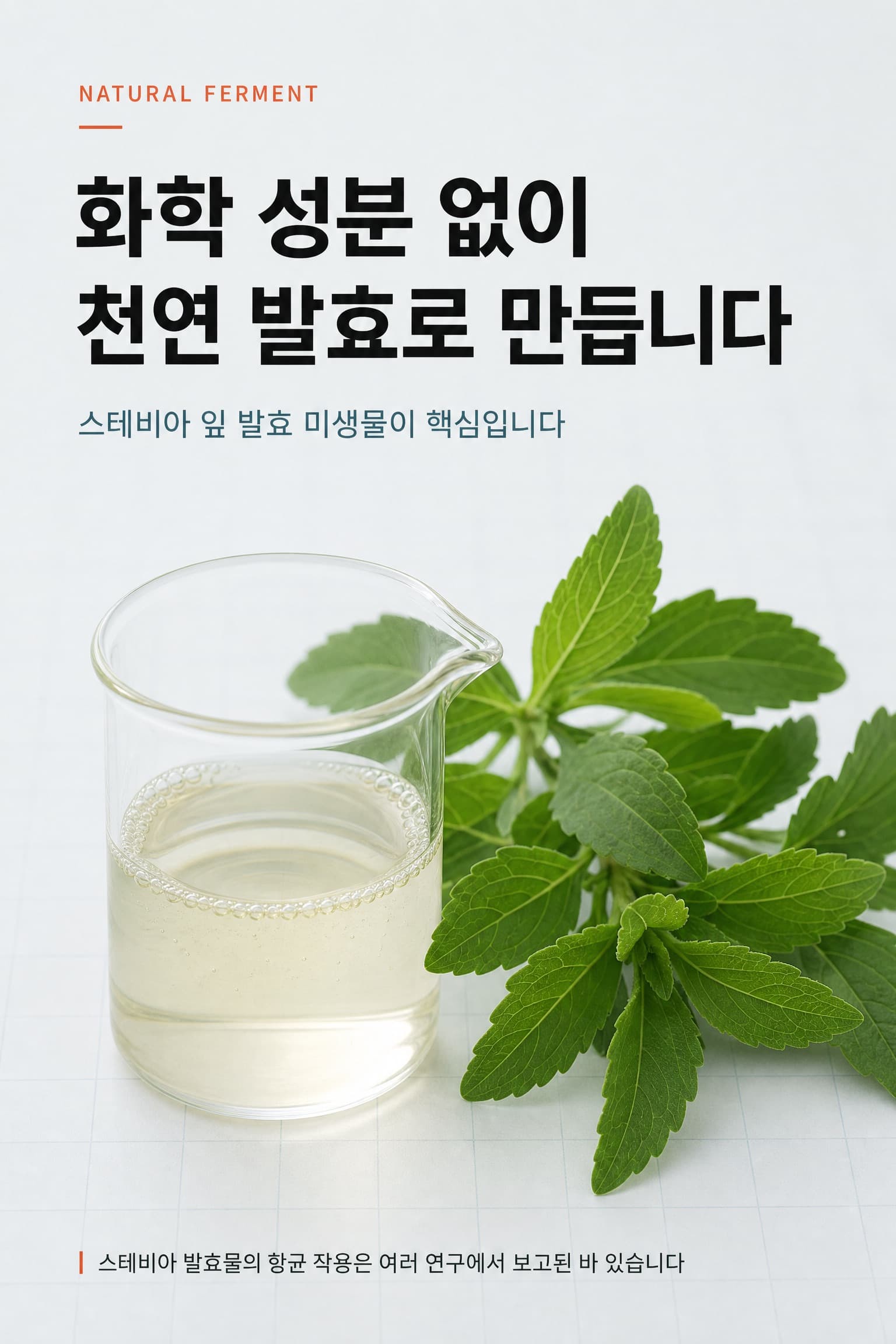 스테비아 발효 미생물 기술