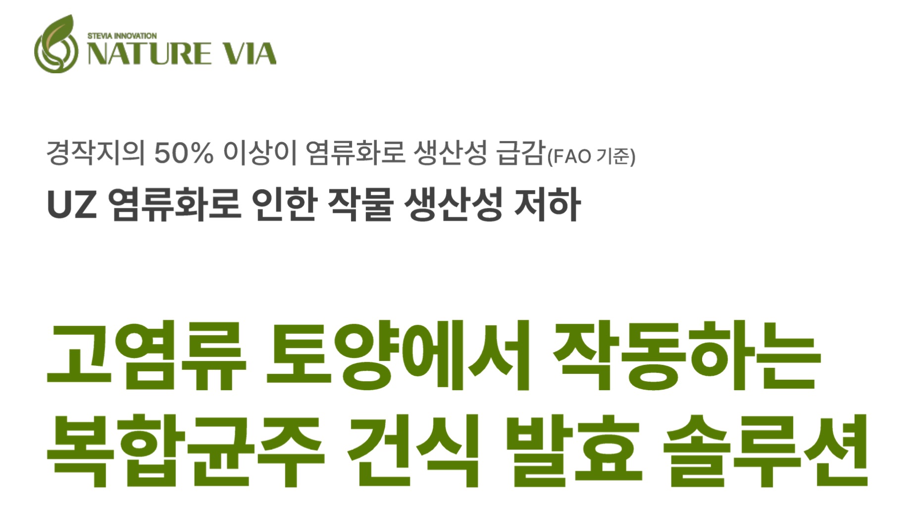고염류 토양에서 작동하는 복합균주 건식 발효 솔루션